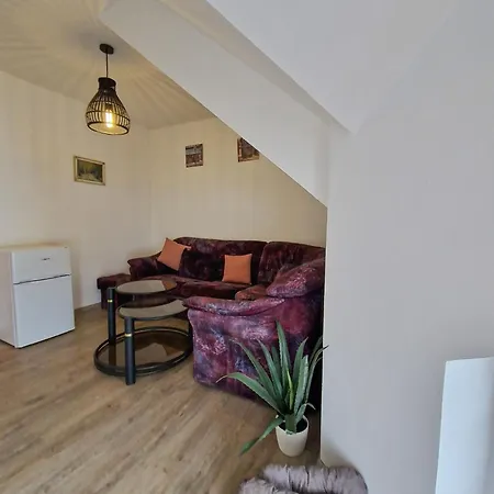 بيت ضيافة Penzion Hana 3*